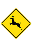 Deer Crossing Sign Poster