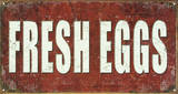 Fresh Eggs