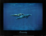 Dolphin Swim w/ nude Woman Serenity