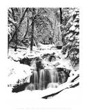 Snowy River (Waterfall)