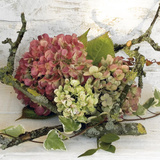 Hortensias