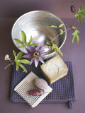 Spa Mauve