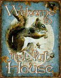 Welcome to the Nut House Squirrels