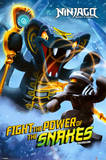 Ninjago Lego