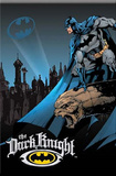 Batman The Dark Knight Magnet