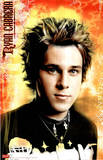 Ryan Cabrera (Face) Music Poster Print