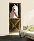 Sebastian Horse Giant Mural Poster Wall Mural