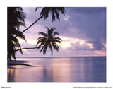 Buy Tropical Sunset (Palm Trees Over Water) Art Poster Print at AllPosters.com