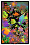Living Reef Flocked Blacklight Poster Art Print