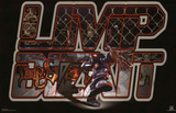 Limp Bizkit (Logo) Music Poster Print