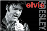 Elvis Presley Singing Locker Magnet