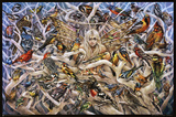 Sheila Wolk Call of the Wild Art Print Poster