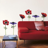 La Cocotte Anemones Wall Stickers