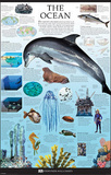 The Ocean Dorling Kindersley Educational Poster Print