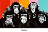 The Chimp Compilation Pop Art Print Poster Poster