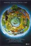 Fragile Earth Conservation Educational Chart Poster
