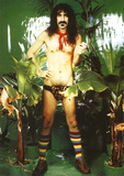 Frank Zappa Underwear Music Poster Print