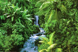 Rainforest (Waterfall) Art Poster Print