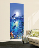 Dolphin in the Sun Giant Mural Poster Wall Mural