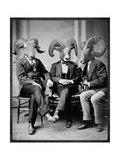 Brotherhood of the Ram