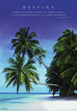 Destiny Palm Trees over Water Motivational Poster Print
