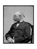 Bjorn Walrussen