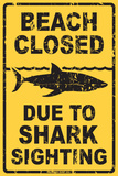 Beach Closed Due to Shark Sighting