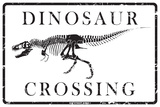 Dinosaur Crossing