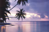 Tropical Sunset