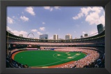 Busch Memorial Stadium St Louis Cardinals Archival Sports Photo Poster Print