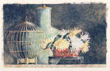 Still Life W/Golden Birdcage