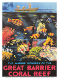 Great Barrier Coral Reef c.1933