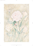 Peony