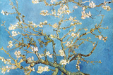 Almond Branches in Bloom, San Remy, c. 1890