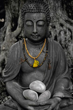 Buddha Stone