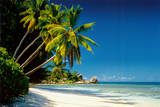 Beach-New Morning