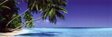 Beach-Paradise Lost