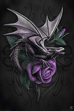 Anne Stokes-Dragon Beauty