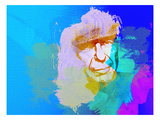 Leonard Cohen
Premium Poster