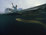 A Fisherman Hooked Only One Eel on His Morning Stint on Lake Biwa