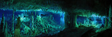 The Cascade Room Leads Divers Deeper Into Dan's Cave on Abaco Island