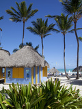 Bavaro Beach, Punta Cana, Dominican Republic, West Indies, Caribbean, Central America