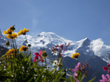 Mont Blanc, Chamonix, Haute Savoie, French Alps, France, Europe