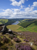 Derwent Edge, Ladybower Reservoir, and Purple Heather Moorland in Foreground, Peak District Nationa