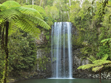 Millaa Millaa Falls, Atherton Tableland, Queensland, Australia, Pacific