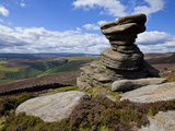 Salt Cellar Rock, Derwent Edge, with Purple Heather Moorland, Peak District National Park, Derbyshi