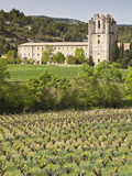 View of the Abbey of Sainte-Marie D'Orbieu, Lagrasse, across Vineyards in Languedoc-Roussillon, Fra