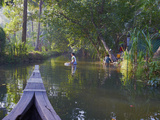 Backwaters, Allepey, Kerala, India, Asia