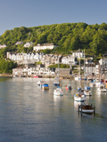 Morning Light on the River Looe at Looe, Cornwall, England, United Kingdom, Europe