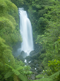Buy Trafalgar Falls, Roseau Valley, Morne Trois Pitons National Park, UNESCO World Heritage Site, Domin at AllPosters.com
